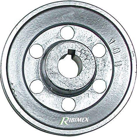 PULEGGIA PER MOTORE 1 gola - Ø 100 - asse 19 mm - RIBIMEX