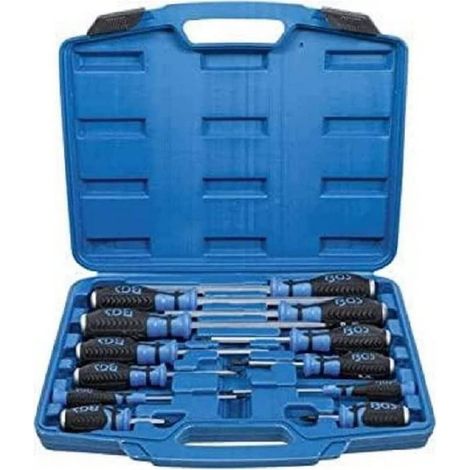 Jeu de Tournevis Carré Femelle 6,3 mm 12 pcs Précision et Polyvalence, Chrome-Vanadium, Pro - D-Work (1/5)