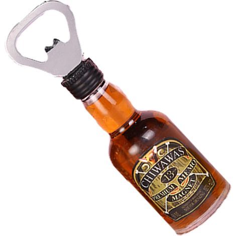 Magnetischer Flaschenöffner – Edelstahl – Für Kühlschrank, Küche, Bar, Landhausstil – 1 Stück (1/5)