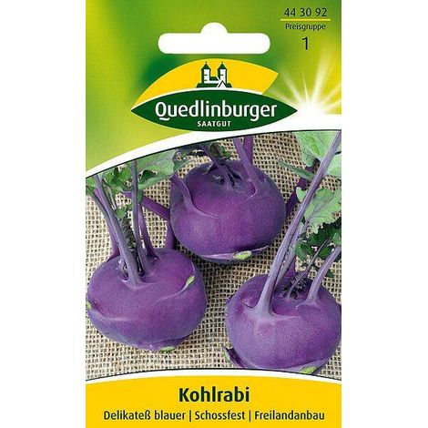 Quedlinburger Kohlrabi Delikateß blauer - Gemüsesamen (1/2)