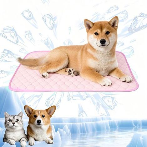 Allecto Plus - Tapis rafraîchissant autonettoyant pour chiens et chats en été - Tapis rafraîchissant durable pour animaux de compagnie - Accessoires de matelas rafraîchissants pour chats et chiots - M