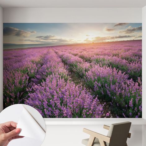 Selbstklebend Tapete modern Wohnzimmer - Wanddekoration - einfach anzubringen Lavendelfelder 152x104 cm (1/5)