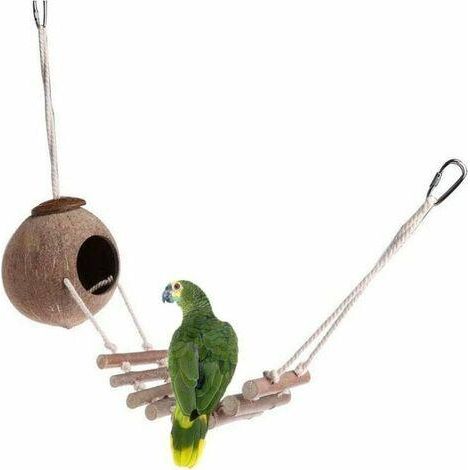 Nid d'oiseau naturel en noix de coco, cage à oiseaux, nid d'oiseau naturel en noix de coco avec échelle, volière pour perroquet en noix de coco (1/5)