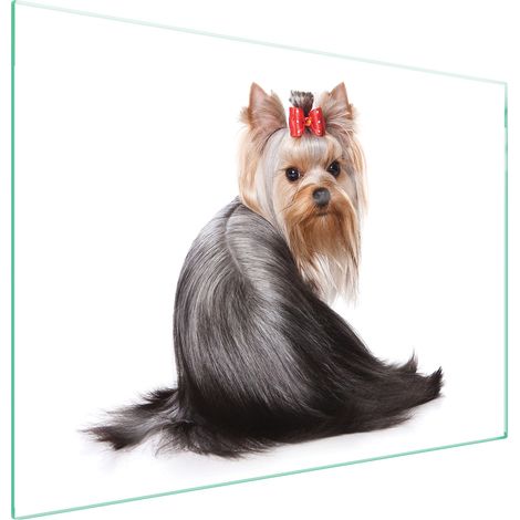 GLASSCHUTZPLATTE FÜR HERD 70x52 HUND (1/5)