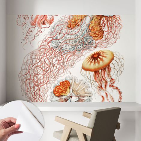 Carta da parati autoadesiva - fotomurale - decorazione parete - stile elegante - decorazione casa - Meduse fantastiche 104x70 cm (1/5)