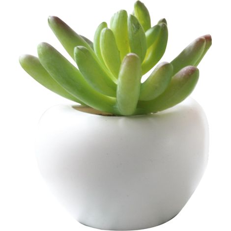 Plante Succulente Artificielle - Résine De Silicone - Pot Avec Aimant Pour Décoration Murale Et Bureau - Lot De 1 (1/5)