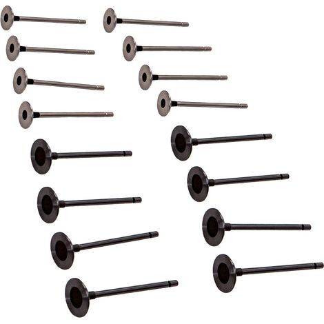 16X Kit Válvula Pour Renault Clio Megane Laguna Scenic Kangoo Modus 1.4/1.6 16 (1/5)