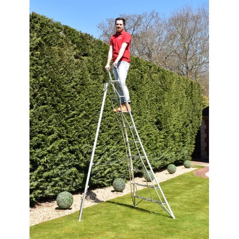 BPS 1 Leg Trade Master Tripod Ladder, Size 3.0m