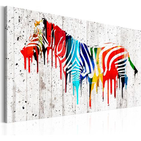 Tableau Imprimé "Zèbre Colorée" 40 x 60 cm (1/2)