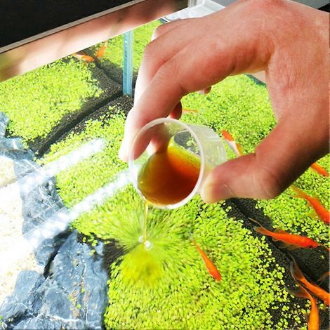 Solution stabilisatrice pour la qualité de l'eau, agent de traitement liquide pour aquarium (258 ml). (1/3)