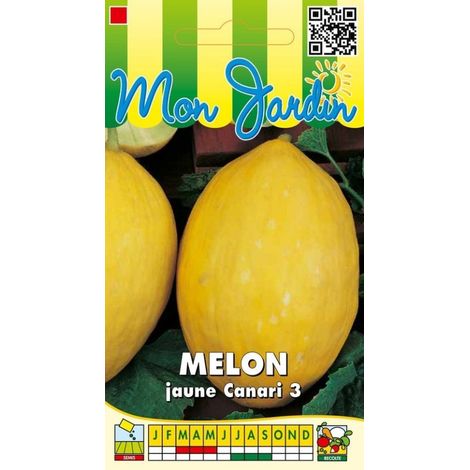 Melon Jaune des Canaries - 3g