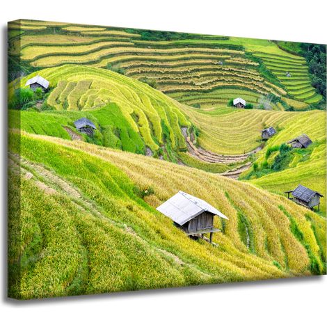 Stampa su tela Natura Terrazze agricole 40x30 cm