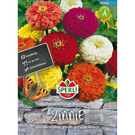 Sperli Zinnien Dahlienblütige Mischung - Blumensamen (1/4)