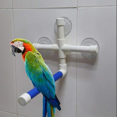 Folding Parrot Shower Bird Perch - Suction Cup Window Bath Wall Paw Grinding Stand Budgie Toy with Suction Cups (1/5)