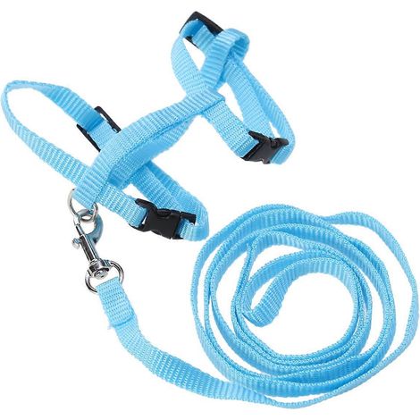 Arnés y correa para conejos, 2 unidades, ajustables, color azul. (1/5)