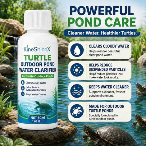 Purificateur d'eau extérieur KineShineX pour bassin à tortues, clarificateur pour bassin à tortues, réduit les matières en suspension dans l'eau (1/4)