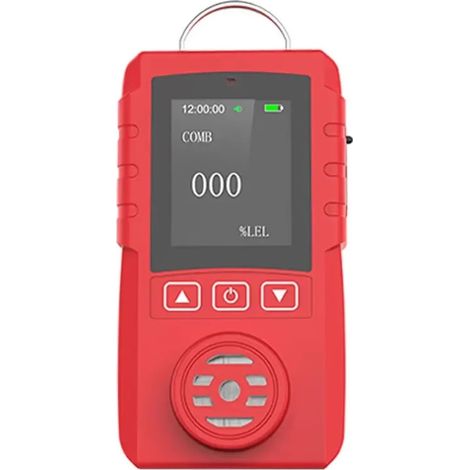 Détecteur de gaz Multi-gaz Détecteur de pic de gaz de sulfure d'hydrogène Portable H2S Petector 0-100PPM (1/5)