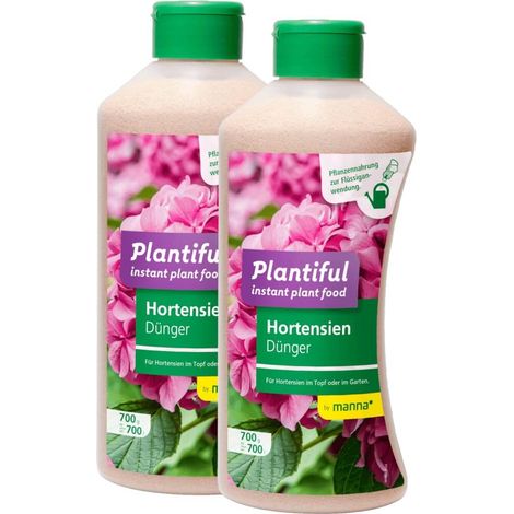 Manna Plantiful Hortensien 2x 700g Moorbeetpflanzen Azalee Rhododendron (1/5)