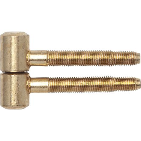 SFS Einbohrband für Futtertüren, 16 mm, Stahl vermessingt (1/4)