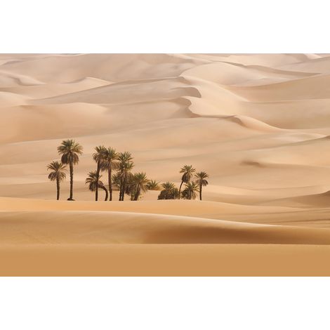 Papier peint panoramique beige et orange avec dune | Tapisserie panoramique paysage désert pour salon | Papier peint panoramique palmier pour chambre - 384 X 260 cm (8 pièces) (1/2)