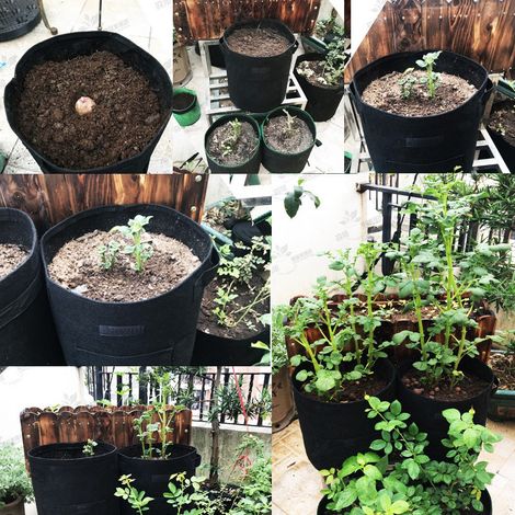 Sac de Plantation Respirant pour Pommes de Terre et Tomates, Pot de Culture Jardin Extérieur, Sac de Jardinage Marron pour Légumes (1/5)