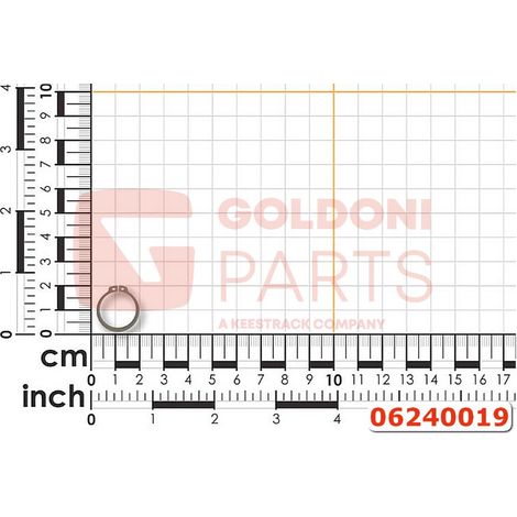 SEEGER 30X1,5 mm E 74 ORIGINAL GOLDONI 06240019