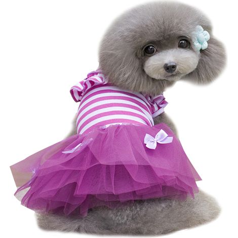 Jupe Pour Chien En Coton Et Gauze Rayée Avec Nœuds Pour Animaux De Compagnie Filles Taille Moyenne (1/5)