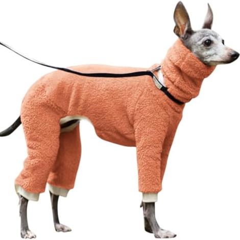 Pull d'hiver pour chien 4 pattes entièrement couvert extensible coupe-vent (1/5)