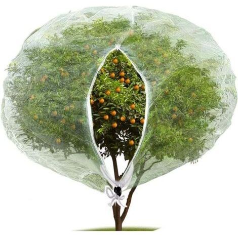 (180 x 180 cm) Insect and Bird Protection Netting with Zipper, Garden Insect Netting to Protect Plants, Fruits and Flowers from Eating Insects (1/4)