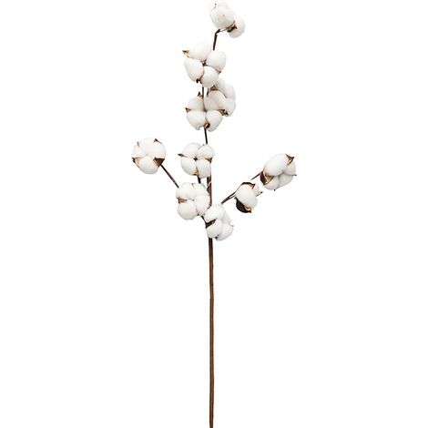 Set de 3 branches de coton 70 cm