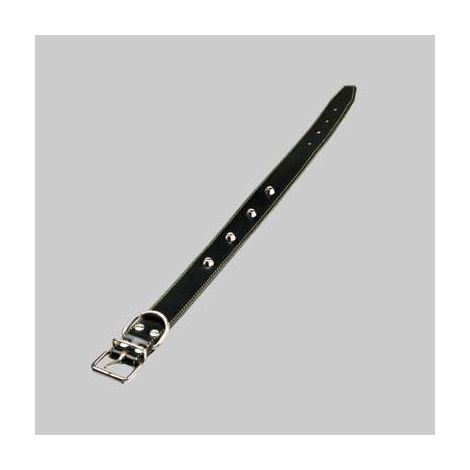 Collare per cani foderato con borchie 20x440 mm