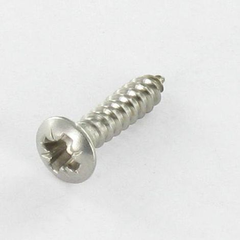 Vis tôle Tête fraisée bombée TFB Pozi 4.2X45 Inox A4-10 pièces