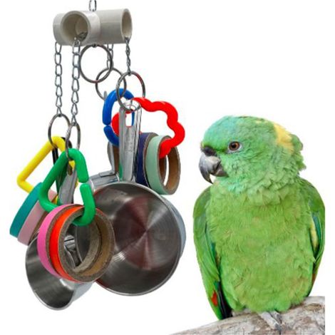 Pots et Bagels pour Oiseaux Perroquets et Bagels, Tasse en Acier Inoxydable et Anneau en Carton Jouets pour Amazones Mini Aras Gris Africain Cacatoès Eclectus (1/4)