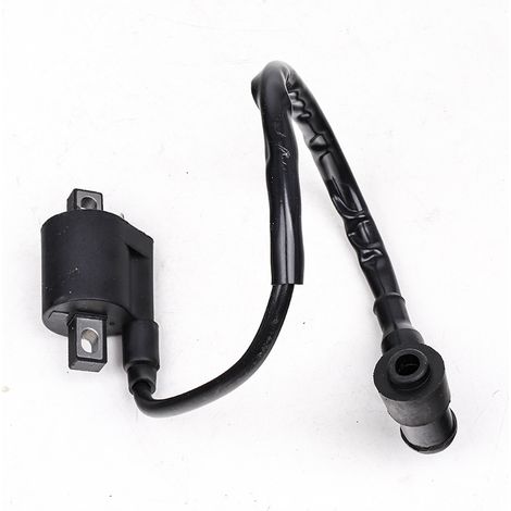 Accessories for off-road motorcycles/quads (ATVs) and four-wheeled beach buggies CG125 150 200 250 cm³: High-voltage transformer ignition coil (1/4)