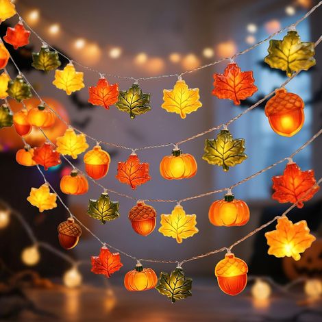 Guirlande Lumineuse d'automne,Guirlande Lumineuse Gland 3m,Automne Decoration,No毛l Decoration,pour Automne Halloween Thanksgiving No毛l F锚te (1/5)