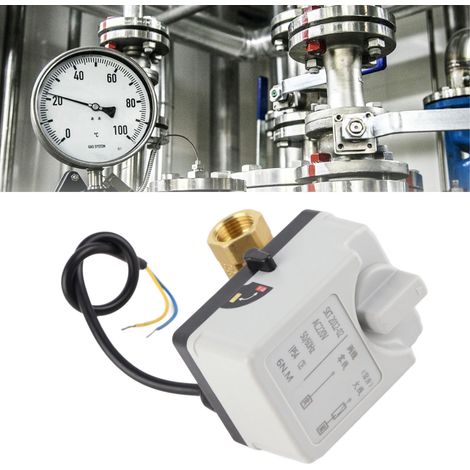 Vanne à bille DN15 à deux voies, manuelle/automatique, vanne électrique à deux fils AC220V normalement ouverte (1/5)