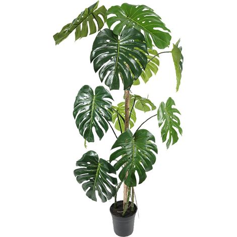 Monstera deliciosa artificielle, sur pied, en pot H 150 cm, D 70 cm - dimhaut: H 150 cm