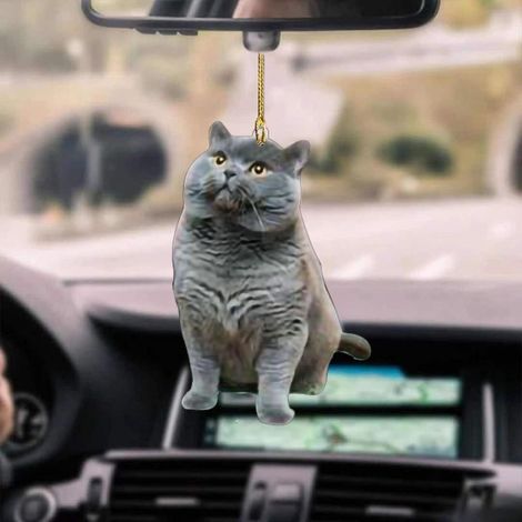 Porte-clés voiture créatif, ornement de rétroviseur en forme de chat mignon, pendentif pour auto, cadeau idéal pour amis et famille (1/5)
