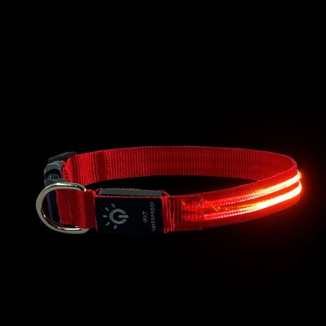 Collier de chien lumineux pour la marche nocturne, collier de chien LED étanche rechargeable, colliers de chien qui brillent dans le noir éclairé par LED (1/3)