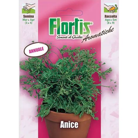 FLORTIS Anice (1/2)