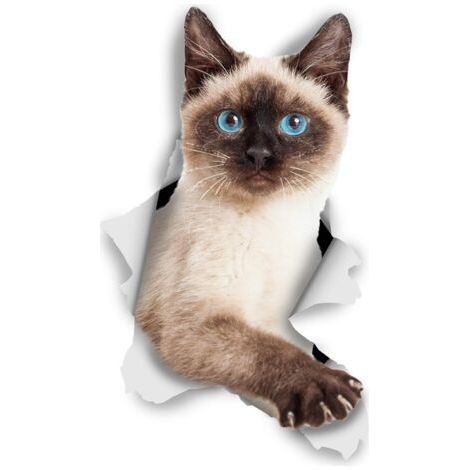 3D Wandsticker Katze - 2er Pack - Lustige Dekorative Aufkleber – Siamkatze Kätzchen Sticker für Wand - Kühlschrank - Toilette - Zimmer 7 x 12CM (1/4)