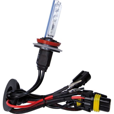 12/24V Lampadina HID Xenon 8.000K - H9 - 1 pz  - Scatola (1/2)