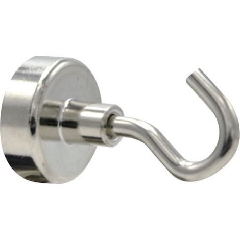 CQFD - crochet aimant neodyme argent 20 mm lot de 6