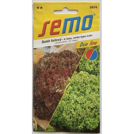 LATTUGA SEMO LEAF – riccia da taglio 3874 (1/2)