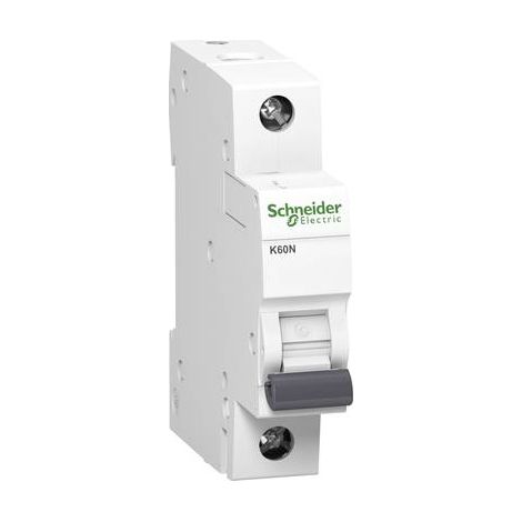 Interruptor automático 1P C 4A 6kA CA K60N Acti9 A9K02104
