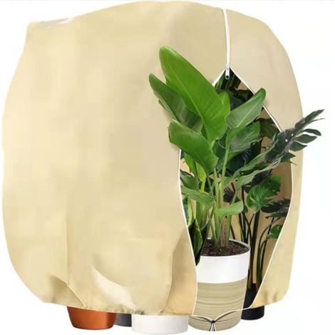 Voile Hivernage Plante Exterieur, 200x240cm Housse Hivernage Plante, Housse de Protection pour Plantes Voile D'hivernage Housse d'hivernage Plante Réutilisable, prêt à l'emploi (1/5)