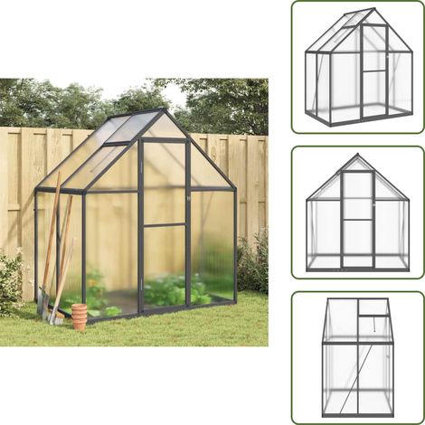 The Living Store Serre avec cadre de base anthracite 169x114x195 cm aluminium - Serre De Jardin - Serre Portable - Serre En Polycarbonate - Abri Jardin - Protection Plante