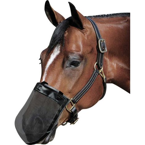 Cob: Maschera antimosche per il naso del cavallo a strappo modello Nose Guard