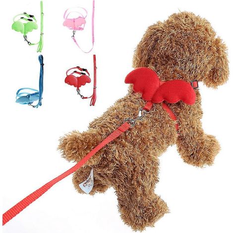 Ensemble harnais et laisse pour chat, anti-fugue, réglable, léger et doux, idéal pour les promenades et les voyages (Petsafe Harness-M-Green). (1/4)