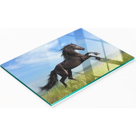 Tablero de vidrio elegante y resistente con estampado de un caballo negro en un prado, 80x52 cm. (1/5)